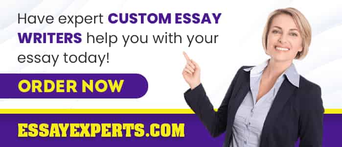 best custom essay writers