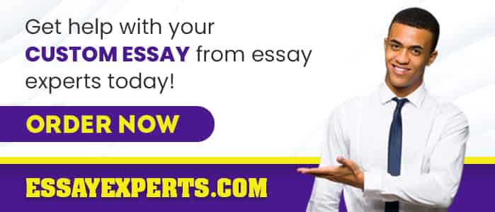 which essay writing service is the best