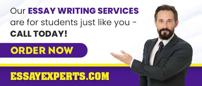 cheap custom essay writing service